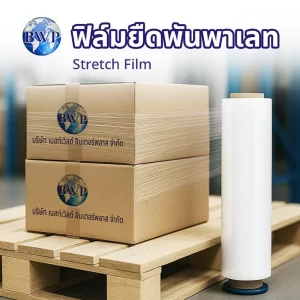 ฟิล์มยืดพันพาเลท (Stretch Film) คือ ฟิล์ม LLDPE 100% สามารถนำไปใช้พันพาเลท พันผลิตภัณฑ์อื่นๆ เพื่อช่วยในการป้องกันฝุ่น ละอองน้ำ กันสินค้าล้ม ทำให้เหมาะกับการนำมาพันพาเลทสินค้าต่างๆ หรือ เครื่องมือ อุปกรณ์การช่าง เป็นต้น