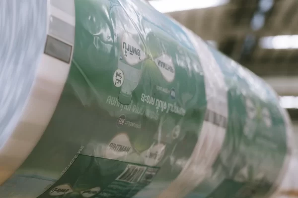 ฟิล์มพิมพ์ Print film